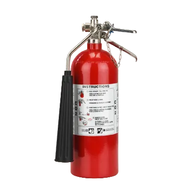 Carbon dioxide extinguisher with wall mount